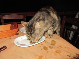 licking the plate clean